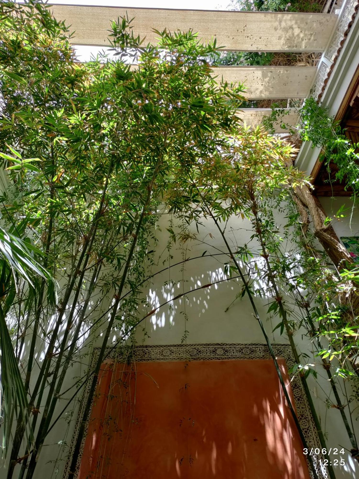 Made In Berbere Homestay
