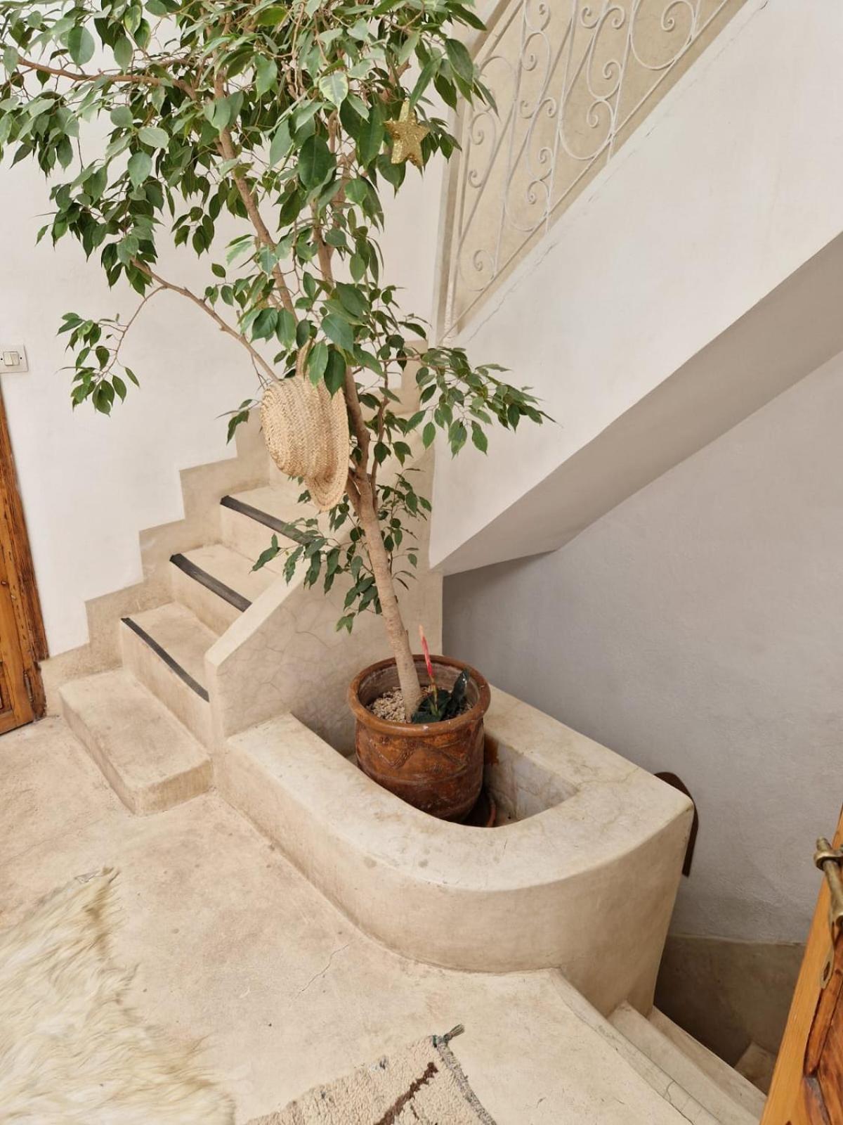 Homestay Made In Berbere Marrakesh