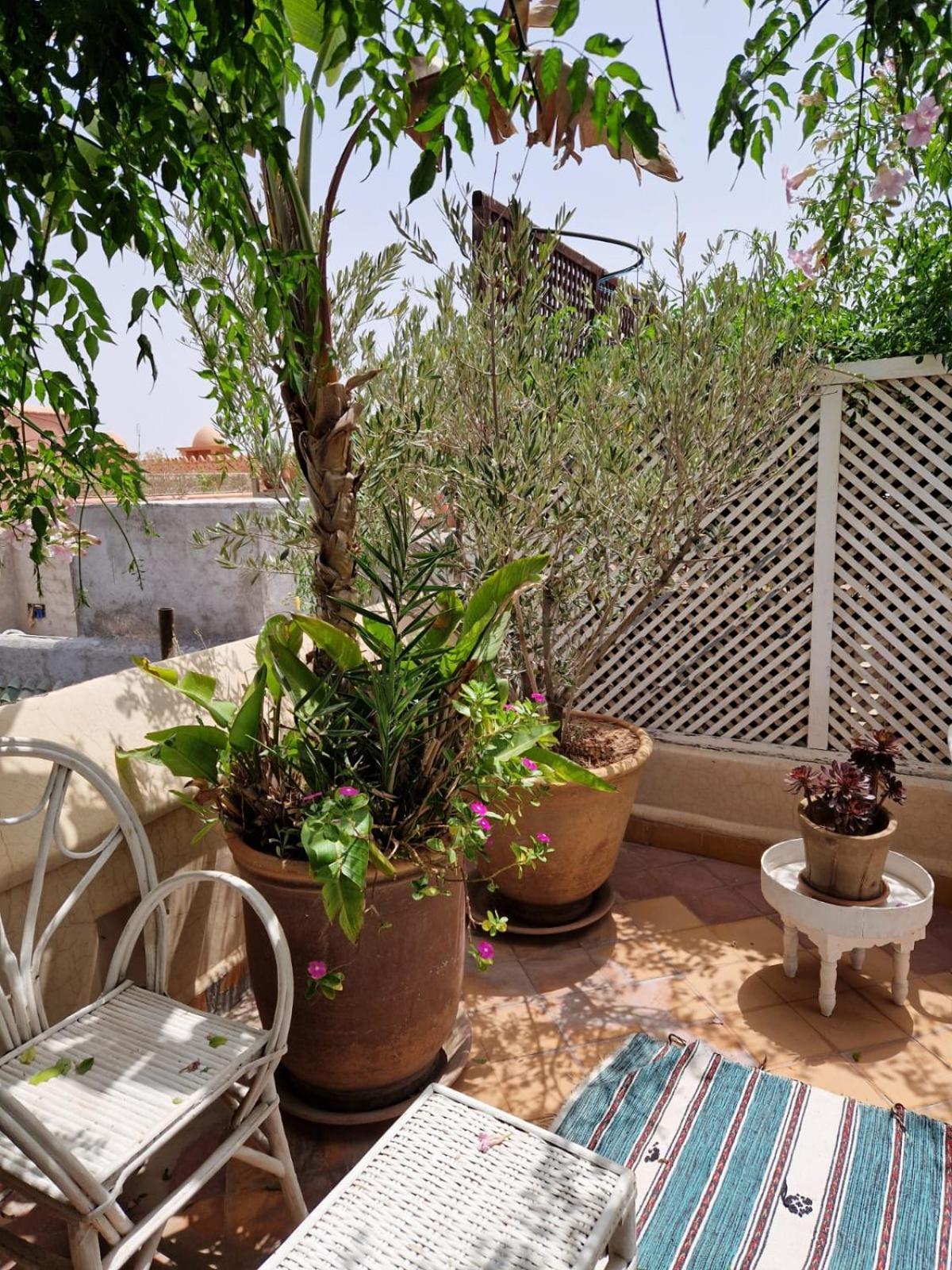 Made In Berbere Alloggio in famiglia Marrakesh
